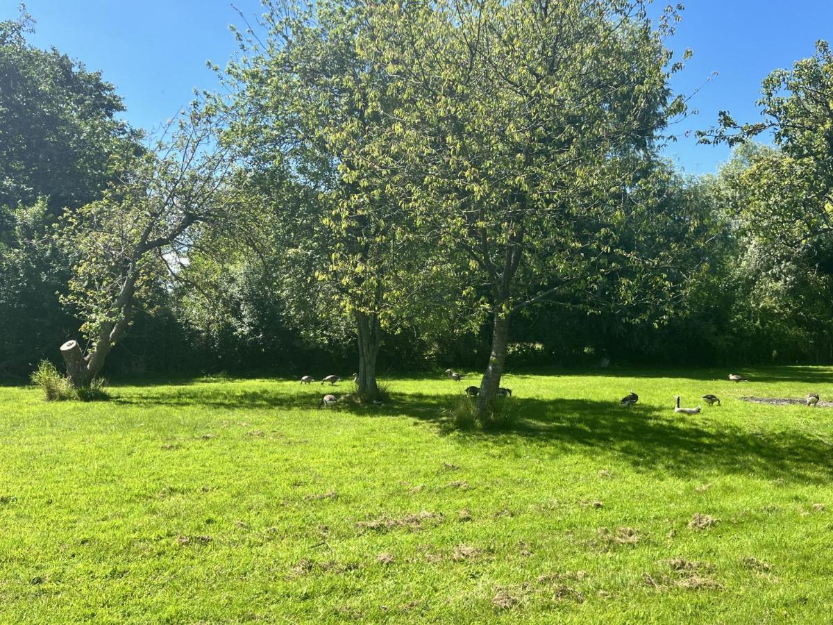 Adorable Two Bed Norfolk Broads Holiday Home - River Views With Moorings & Fishing Stalham Luaran gambar